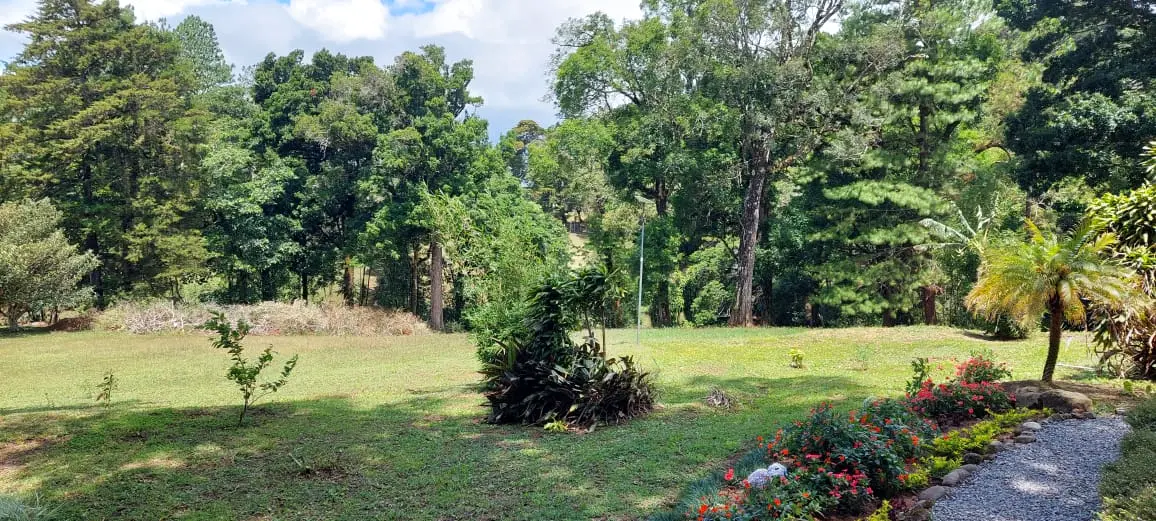 Sunny tropical garden with flowering plants in Chiriquí