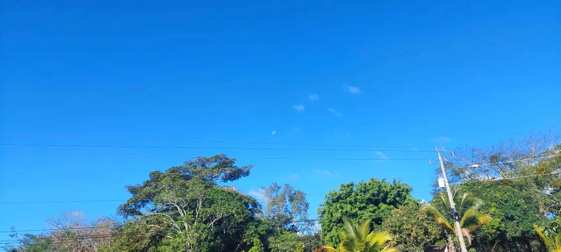 Sunny blue sky above tropical treetops in Panama