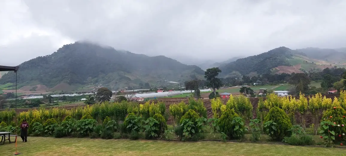 Colourful flowers and agricultural highlands at Cerro Punta